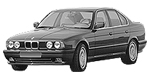 BMW E34 P1530 Fault Code